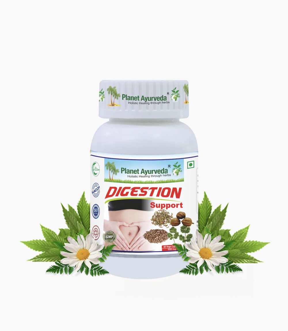 DIGESTION SUPPORT 소화 서포트 - 180정