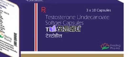 테스토스테론 테스토힐 직구, 구매, 후기