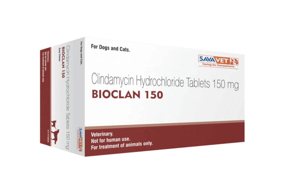 클린디마이신 BIOCLAN: 피부 건강을 위한 혁신적인 솔루션